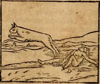 An illustration from Ioannis Pierii Valeriani Bellvnensis Hieroglyphica, sive, De sacris Ægyptiorvm aliarumq gentium literis commentariorum libri LVIII : cum duobus alijs ab eruditissimo viro annexis : accesserunt loco auctarij, Hieroglyphicorum collectanea, ex veteribus & recentioribus auctoribus descripta, & in sex libros digesta : Horapollinis item hieroglyphicorum libri duo, ex postrema Dauidis Hschelij correctione : prætereà eiusdem Pierij declamatiuncula pro barbis sacerdotum, & reliqua opuscula siue poemata omnia (1614)