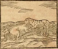 An illustration from Ioannis Pierii Valeriani Bellvnensis Hieroglyphica, sive, De sacris Ægyptiorvm aliarumq gentium literis commentariorum libri LVIII : cum duobus alijs ab eruditissimo viro annexis : accesserunt loco auctarij, Hieroglyphicorum collectanea, ex veteribus & recentioribus auctoribus descripta, & in sex libros digesta : Horapollinis item hieroglyphicorum libri duo, ex postrema Dauidis Hschelij correctione : prætereà eiusdem Pierij declamatiuncula pro barbis sacerdotum, & reliqua opuscula siue poemata omnia (1614)
