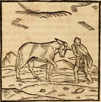 An illustration from Ioannis Pierii Valeriani Bellvnensis Hieroglyphica, sive, De sacris Ægyptiorvm aliarumq gentium literis commentariorum libri LVIII : cum duobus alijs ab eruditissimo viro annexis : accesserunt loco auctarij, Hieroglyphicorum collectanea, ex veteribus & recentioribus auctoribus descripta, & in sex libros digesta : Horapollinis item hieroglyphicorum libri duo, ex postrema Dauidis Hschelij correctione : prætereà eiusdem Pierij declamatiuncula pro barbis sacerdotum, & reliqua opuscula siue poemata omnia (1614)
