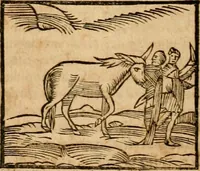 An illustration from Ioannis Pierii Valeriani Bellvnensis Hieroglyphica, sive, De sacris Ægyptiorvm aliarumq gentium literis commentariorum libri LVIII : cum duobus alijs ab eruditissimo viro annexis : accesserunt loco auctarij, Hieroglyphicorum collectanea, ex veteribus & recentioribus auctoribus descripta, & in sex libros digesta : Horapollinis item hieroglyphicorum libri duo, ex postrema Dauidis Hschelij correctione : prætereà eiusdem Pierij declamatiuncula pro barbis sacerdotum, & reliqua opuscula siue poemata omnia (1614)