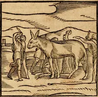 An illustration from Ioannis Pierii Valeriani Bellvnensis Hieroglyphica, sive, De sacris Ægyptiorvm aliarumq gentium literis commentariorum libri LVIII : cum duobus alijs ab eruditissimo viro annexis : accesserunt loco auctarij, Hieroglyphicorum collectanea, ex veteribus & recentioribus auctoribus descripta, & in sex libros digesta : Horapollinis item hieroglyphicorum libri duo, ex postrema Dauidis Hschelij correctione : prætereà eiusdem Pierij declamatiuncula pro barbis sacerdotum, & reliqua opuscula siue poemata omnia (1614)
