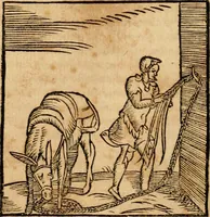 An illustration from Ioannis Pierii Valeriani Bellvnensis Hieroglyphica, sive, De sacris Ægyptiorvm aliarumq gentium literis commentariorum libri LVIII : cum duobus alijs ab eruditissimo viro annexis : accesserunt loco auctarij, Hieroglyphicorum collectanea, ex veteribus & recentioribus auctoribus descripta, & in sex libros digesta : Horapollinis item hieroglyphicorum libri duo, ex postrema Dauidis Hschelij correctione : prætereà eiusdem Pierij declamatiuncula pro barbis sacerdotum, & reliqua opuscula siue poemata omnia (1614)