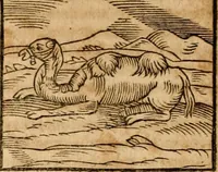An illustration from Ioannis Pierii Valeriani Bellvnensis Hieroglyphica, sive, De sacris Ægyptiorvm aliarumq gentium literis commentariorum libri LVIII : cum duobus alijs ab eruditissimo viro annexis : accesserunt loco auctarij, Hieroglyphicorum collectanea, ex veteribus & recentioribus auctoribus descripta, & in sex libros digesta : Horapollinis item hieroglyphicorum libri duo, ex postrema Dauidis Hschelij correctione : prætereà eiusdem Pierij declamatiuncula pro barbis sacerdotum, & reliqua opuscula siue poemata omnia (1614)