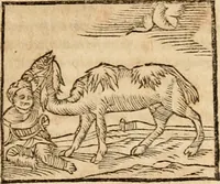 An illustration from Ioannis Pierii Valeriani Bellvnensis Hieroglyphica, sive, De sacris Ægyptiorvm aliarumq gentium literis commentariorum libri LVIII : cum duobus alijs ab eruditissimo viro annexis : accesserunt loco auctarij, Hieroglyphicorum collectanea, ex veteribus & recentioribus auctoribus descripta, & in sex libros digesta : Horapollinis item hieroglyphicorum libri duo, ex postrema Dauidis Hschelij correctione : prætereà eiusdem Pierij declamatiuncula pro barbis sacerdotum, & reliqua opuscula siue poemata omnia (1614)