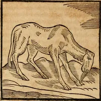 An illustration from Ioannis Pierii Valeriani Bellvnensis Hieroglyphica, sive, De sacris Ægyptiorvm aliarumq gentium literis commentariorum libri LVIII : cum duobus alijs ab eruditissimo viro annexis : accesserunt loco auctarij, Hieroglyphicorum collectanea, ex veteribus & recentioribus auctoribus descripta, & in sex libros digesta : Horapollinis item hieroglyphicorum libri duo, ex postrema Dauidis Hschelij correctione : prætereà eiusdem Pierij declamatiuncula pro barbis sacerdotum, & reliqua opuscula siue poemata omnia (1614)