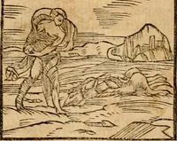 An illustration from Ioannis Pierii Valeriani Bellvnensis Hieroglyphica, sive, De sacris Ægyptiorvm aliarumq gentium literis commentariorum libri LVIII : cum duobus alijs ab eruditissimo viro annexis : accesserunt loco auctarij, Hieroglyphicorum collectanea, ex veteribus & recentioribus auctoribus descripta, & in sex libros digesta : Horapollinis item hieroglyphicorum libri duo, ex postrema Dauidis Hschelij correctione : prætereà eiusdem Pierij declamatiuncula pro barbis sacerdotum, & reliqua opuscula siue poemata omnia (1614)