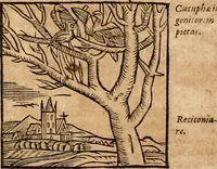 An illustration from Ioannis Pierii Valeriani Bellvnensis Hieroglyphica, sive, De sacris Ægyptiorvm aliarumq gentium literis commentariorum libri LVIII : cum duobus alijs ab eruditissimo viro annexis : accesserunt loco auctarij, Hieroglyphicorum collectanea, ex veteribus & recentioribus auctoribus descripta, & in sex libros digesta : Horapollinis item hieroglyphicorum libri duo, ex postrema Dauidis Hschelij correctione : prætereà eiusdem Pierij declamatiuncula pro barbis sacerdotum, & reliqua opuscula siue poemata omnia (1614)