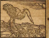 An illustration from Ioannis Pierii Valeriani Bellvnensis Hieroglyphica, sive, De sacris Ægyptiorvm aliarumq gentium literis commentariorum libri LVIII : cum duobus alijs ab eruditissimo viro annexis : accesserunt loco auctarij, Hieroglyphicorum collectanea, ex veteribus & recentioribus auctoribus descripta, & in sex libros digesta : Horapollinis item hieroglyphicorum libri duo, ex postrema Dauidis Hschelij correctione : prætereà eiusdem Pierij declamatiuncula pro barbis sacerdotum, & reliqua opuscula siue poemata omnia (1614)