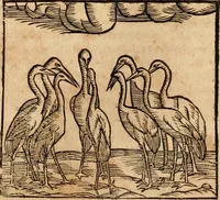 An illustration from Ioannis Pierii Valeriani Bellvnensis Hieroglyphica, sive, De sacris Ægyptiorvm aliarumq gentium literis commentariorum libri LVIII : cum duobus alijs ab eruditissimo viro annexis : accesserunt loco auctarij, Hieroglyphicorum collectanea, ex veteribus & recentioribus auctoribus descripta, & in sex libros digesta : Horapollinis item hieroglyphicorum libri duo, ex postrema Dauidis Hschelij correctione : prætereà eiusdem Pierij declamatiuncula pro barbis sacerdotum, & reliqua opuscula siue poemata omnia (1614)