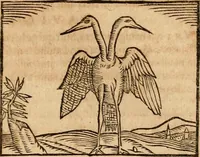 An illustration from Ioannis Pierii Valeriani Bellvnensis Hieroglyphica, sive, De sacris Ægyptiorvm aliarumq gentium literis commentariorum libri LVIII : cum duobus alijs ab eruditissimo viro annexis : accesserunt loco auctarij, Hieroglyphicorum collectanea, ex veteribus & recentioribus auctoribus descripta, & in sex libros digesta : Horapollinis item hieroglyphicorum libri duo, ex postrema Dauidis Hschelij correctione : prætereà eiusdem Pierij declamatiuncula pro barbis sacerdotum, & reliqua opuscula siue poemata omnia (1614)