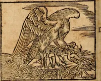 An illustration from Ioannis Pierii Valeriani Bellvnensis Hieroglyphica, sive, De sacris Ægyptiorvm aliarumq gentium literis commentariorum libri LVIII : cum duobus alijs ab eruditissimo viro annexis : accesserunt loco auctarij, Hieroglyphicorum collectanea, ex veteribus & recentioribus auctoribus descripta, & in sex libros digesta : Horapollinis item hieroglyphicorum libri duo, ex postrema Dauidis Hschelij correctione : prætereà eiusdem Pierij declamatiuncula pro barbis sacerdotum, & reliqua opuscula siue poemata omnia (1614)
