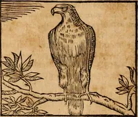 An illustration from Ioannis Pierii Valeriani Bellvnensis Hieroglyphica, sive, De sacris Ægyptiorvm aliarumq gentium literis commentariorum libri LVIII : cum duobus alijs ab eruditissimo viro annexis : accesserunt loco auctarij, Hieroglyphicorum collectanea, ex veteribus & recentioribus auctoribus descripta, & in sex libros digesta : Horapollinis item hieroglyphicorum libri duo, ex postrema Dauidis Hschelij correctione : prætereà eiusdem Pierij declamatiuncula pro barbis sacerdotum, & reliqua opuscula siue poemata omnia (1614)