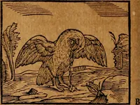 An illustration from Ioannis Pierii Valeriani Bellvnensis Hieroglyphica, sive, De sacris Ægyptiorvm aliarumq gentium literis commentariorum libri LVIII : cum duobus alijs ab eruditissimo viro annexis : accesserunt loco auctarij, Hieroglyphicorum collectanea, ex veteribus & recentioribus auctoribus descripta, & in sex libros digesta : Horapollinis item hieroglyphicorum libri duo, ex postrema Dauidis Hschelij correctione : prætereà eiusdem Pierij declamatiuncula pro barbis sacerdotum, & reliqua opuscula siue poemata omnia (1614)