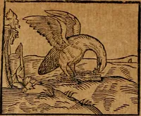 An illustration from Ioannis Pierii Valeriani Bellvnensis Hieroglyphica, sive, De sacris Ægyptiorvm aliarumq gentium literis commentariorum libri LVIII : cum duobus alijs ab eruditissimo viro annexis : accesserunt loco auctarij, Hieroglyphicorum collectanea, ex veteribus & recentioribus auctoribus descripta, & in sex libros digesta : Horapollinis item hieroglyphicorum libri duo, ex postrema Dauidis Hschelij correctione : prætereà eiusdem Pierij declamatiuncula pro barbis sacerdotum, & reliqua opuscula siue poemata omnia (1614)