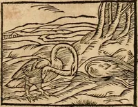 An illustration from Ioannis Pierii Valeriani Bellvnensis Hieroglyphica, sive, De sacris Ægyptiorvm aliarumq gentium literis commentariorum libri LVIII : cum duobus alijs ab eruditissimo viro annexis : accesserunt loco auctarij, Hieroglyphicorum collectanea, ex veteribus & recentioribus auctoribus descripta, & in sex libros digesta : Horapollinis item hieroglyphicorum libri duo, ex postrema Dauidis Hschelij correctione : prætereà eiusdem Pierij declamatiuncula pro barbis sacerdotum, & reliqua opuscula siue poemata omnia (1614)