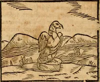 An illustration from Ioannis Pierii Valeriani Bellvnensis Hieroglyphica, sive, De sacris Ægyptiorvm aliarumq gentium literis commentariorum libri LVIII : cum duobus alijs ab eruditissimo viro annexis : accesserunt loco auctarij, Hieroglyphicorum collectanea, ex veteribus & recentioribus auctoribus descripta, & in sex libros digesta : Horapollinis item hieroglyphicorum libri duo, ex postrema Dauidis Hschelij correctione : prætereà eiusdem Pierij declamatiuncula pro barbis sacerdotum, & reliqua opuscula siue poemata omnia (1614)