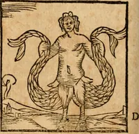 An illustration from Ioannis Pierii Valeriani Bellvnensis Hieroglyphica, sive, De sacris Ægyptiorvm aliarumq gentium literis commentariorum libri LVIII : cum duobus alijs ab eruditissimo viro annexis : accesserunt loco auctarij, Hieroglyphicorum collectanea, ex veteribus & recentioribus auctoribus descripta, & in sex libros digesta : Horapollinis item hieroglyphicorum libri duo, ex postrema Dauidis Hschelij correctione : prætereà eiusdem Pierij declamatiuncula pro barbis sacerdotum, & reliqua opuscula siue poemata omnia (1614)
