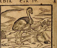 An illustration from Ioannis Pierii Valeriani Bellvnensis Hieroglyphica, sive, De sacris Ægyptiorvm aliarumq gentium literis commentariorum libri LVIII : cum duobus alijs ab eruditissimo viro annexis : accesserunt loco auctarij, Hieroglyphicorum collectanea, ex veteribus & recentioribus auctoribus descripta, & in sex libros digesta : Horapollinis item hieroglyphicorum libri duo, ex postrema Dauidis Hschelij correctione : prætereà eiusdem Pierij declamatiuncula pro barbis sacerdotum, & reliqua opuscula siue poemata omnia (1614)