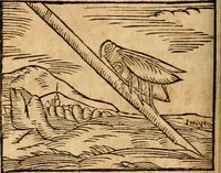 An illustration from Ioannis Pierii Valeriani Bellvnensis Hieroglyphica, sive, De sacris Ægyptiorvm aliarumq gentium literis commentariorum libri LVIII : cum duobus alijs ab eruditissimo viro annexis : accesserunt loco auctarij, Hieroglyphicorum collectanea, ex veteribus & recentioribus auctoribus descripta, & in sex libros digesta : Horapollinis item hieroglyphicorum libri duo, ex postrema Dauidis Hschelij correctione : prætereà eiusdem Pierij declamatiuncula pro barbis sacerdotum, & reliqua opuscula siue poemata omnia (1614)