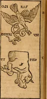 An illustration from Ioannis Pierii Valeriani Bellvnensis Hieroglyphica, sive, De sacris Ægyptiorvm aliarumq gentium literis commentariorum libri LVIII : cum duobus alijs ab eruditissimo viro annexis : accesserunt loco auctarij, Hieroglyphicorum collectanea, ex veteribus & recentioribus auctoribus descripta, & in sex libros digesta : Horapollinis item hieroglyphicorum libri duo, ex postrema Dauidis Hschelij correctione : prætereà eiusdem Pierij declamatiuncula pro barbis sacerdotum, & reliqua opuscula siue poemata omnia (1614)
