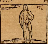 An illustration from Ioannis Pierii Valeriani Bellvnensis Hieroglyphica, sive, De sacris Ægyptiorvm aliarumq gentium literis commentariorum libri LVIII : cum duobus alijs ab eruditissimo viro annexis : accesserunt loco auctarij, Hieroglyphicorum collectanea, ex veteribus & recentioribus auctoribus descripta, & in sex libros digesta : Horapollinis item hieroglyphicorum libri duo, ex postrema Dauidis Hschelij correctione : prætereà eiusdem Pierij declamatiuncula pro barbis sacerdotum, & reliqua opuscula siue poemata omnia (1614)