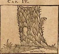 An illustration from Ioannis Pierii Valeriani Bellvnensis Hieroglyphica, sive, De sacris Ægyptiorvm aliarumq gentium literis commentariorum libri LVIII : cum duobus alijs ab eruditissimo viro annexis : accesserunt loco auctarij, Hieroglyphicorum collectanea, ex veteribus & recentioribus auctoribus descripta, & in sex libros digesta : Horapollinis item hieroglyphicorum libri duo, ex postrema Dauidis Hschelij correctione : prætereà eiusdem Pierij declamatiuncula pro barbis sacerdotum, & reliqua opuscula siue poemata omnia (1614)