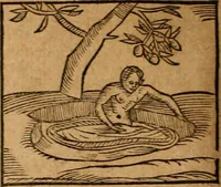 An illustration from Ioannis Pierii Valeriani Bellvnensis Hieroglyphica, sive, De sacris Ægyptiorvm aliarumq gentium literis commentariorum libri LVIII : cum duobus alijs ab eruditissimo viro annexis : accesserunt loco auctarij, Hieroglyphicorum collectanea, ex veteribus & recentioribus auctoribus descripta, & in sex libros digesta : Horapollinis item hieroglyphicorum libri duo, ex postrema Dauidis Hschelij correctione : prætereà eiusdem Pierij declamatiuncula pro barbis sacerdotum, & reliqua opuscula siue poemata omnia (1614)