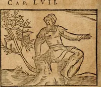 An illustration from Ioannis Pierii Valeriani Bellvnensis Hieroglyphica, sive, De sacris Ægyptiorvm aliarumq gentium literis commentariorum libri LVIII : cum duobus alijs ab eruditissimo viro annexis : accesserunt loco auctarij, Hieroglyphicorum collectanea, ex veteribus & recentioribus auctoribus descripta, & in sex libros digesta : Horapollinis item hieroglyphicorum libri duo, ex postrema Dauidis Hschelij correctione : prætereà eiusdem Pierij declamatiuncula pro barbis sacerdotum, & reliqua opuscula siue poemata omnia (1614)