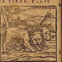 An illustration from Ioannis Pierii Valeriani Bellvnensis Hieroglyphica, sive, De sacris Ægyptiorvm aliarumq gentium literis commentariorum libri LVIII : cum duobus alijs ab eruditissimo viro annexis : accesserunt loco auctarij, Hieroglyphicorum collectanea, ex veteribus & recentioribus auctoribus descripta, & in sex libros digesta : Horapollinis item hieroglyphicorum libri duo, ex postrema Dauidis Hschelij correctione : prætereà eiusdem Pierij declamatiuncula pro barbis sacerdotum, & reliqua opuscula siue poemata omnia (1614)