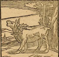 An illustration from Ioannis Pierii Valeriani Bellvnensis Hieroglyphica, sive, De sacris Ægyptiorvm aliarumq gentium literis commentariorum libri LVIII : cum duobus alijs ab eruditissimo viro annexis : accesserunt loco auctarij, Hieroglyphicorum collectanea, ex veteribus & recentioribus auctoribus descripta, & in sex libros digesta : Horapollinis item hieroglyphicorum libri duo, ex postrema Dauidis Hschelij correctione : prætereà eiusdem Pierij declamatiuncula pro barbis sacerdotum, & reliqua opuscula siue poemata omnia (1614)