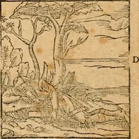 An illustration from Ioannis Pierii Valeriani Bellvnensis Hieroglyphica, sive, De sacris Ægyptiorvm aliarumq gentium literis commentariorum libri LVIII : cum duobus alijs ab eruditissimo viro annexis : accesserunt loco auctarij, Hieroglyphicorum collectanea, ex veteribus & recentioribus auctoribus descripta, & in sex libros digesta : Horapollinis item hieroglyphicorum libri duo, ex postrema Dauidis Hschelij correctione : prætereà eiusdem Pierij declamatiuncula pro barbis sacerdotum, & reliqua opuscula siue poemata omnia (1614)