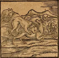 An illustration from Ioannis Pierii Valeriani Bellvnensis Hieroglyphica, sive, De sacris Ægyptiorvm aliarumq gentium literis commentariorum libri LVIII : cum duobus alijs ab eruditissimo viro annexis : accesserunt loco auctarij, Hieroglyphicorum collectanea, ex veteribus & recentioribus auctoribus descripta, & in sex libros digesta : Horapollinis item hieroglyphicorum libri duo, ex postrema Dauidis Hschelij correctione : prætereà eiusdem Pierij declamatiuncula pro barbis sacerdotum, & reliqua opuscula siue poemata omnia (1614)