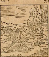 An illustration from Ioannis Pierii Valeriani Bellvnensis Hieroglyphica, sive, De sacris Ægyptiorvm aliarumq gentium literis commentariorum libri LVIII : cum duobus alijs ab eruditissimo viro annexis : accesserunt loco auctarij, Hieroglyphicorum collectanea, ex veteribus & recentioribus auctoribus descripta, & in sex libros digesta : Horapollinis item hieroglyphicorum libri duo, ex postrema Dauidis Hschelij correctione : prætereà eiusdem Pierij declamatiuncula pro barbis sacerdotum, & reliqua opuscula siue poemata omnia (1614)