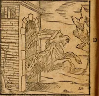 An illustration from Ioannis Pierii Valeriani Bellvnensis Hieroglyphica, sive, De sacris Ægyptiorvm aliarumq gentium literis commentariorum libri LVIII : cum duobus alijs ab eruditissimo viro annexis : accesserunt loco auctarij, Hieroglyphicorum collectanea, ex veteribus & recentioribus auctoribus descripta, & in sex libros digesta : Horapollinis item hieroglyphicorum libri duo, ex postrema Dauidis Hschelij correctione : prætereà eiusdem Pierij declamatiuncula pro barbis sacerdotum, & reliqua opuscula siue poemata omnia (1614)
