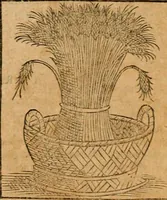 An illustration from Ioannis Pierii Valeriani Bellvnensis Hieroglyphica, sive, De sacris Ægyptiorvm aliarumq gentium literis commentariorum libri LVIII : cum duobus alijs ab eruditissimo viro annexis : accesserunt loco auctarij, Hieroglyphicorum collectanea, ex veteribus & recentioribus auctoribus descripta, & in sex libros digesta : Horapollinis item hieroglyphicorum libri duo, ex postrema Dauidis Hschelij correctione : prætereà eiusdem Pierij declamatiuncula pro barbis sacerdotum, & reliqua opuscula siue poemata omnia (1614)