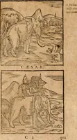 An illustration from Ioannis Pierii Valeriani Bellvnensis Hieroglyphica, sive, De sacris Ægyptiorvm aliarumq gentium literis commentariorum libri LVIII : cum duobus alijs ab eruditissimo viro annexis : accesserunt loco auctarij, Hieroglyphicorum collectanea, ex veteribus & recentioribus auctoribus descripta, & in sex libros digesta : Horapollinis item hieroglyphicorum libri duo, ex postrema Dauidis Hschelij correctione : prætereà eiusdem Pierij declamatiuncula pro barbis sacerdotum, & reliqua opuscula siue poemata omnia (1614)