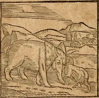 An illustration from Ioannis Pierii Valeriani Bellvnensis Hieroglyphica, sive, De sacris Ægyptiorvm aliarumq gentium literis commentariorum libri LVIII : cum duobus alijs ab eruditissimo viro annexis : accesserunt loco auctarij, Hieroglyphicorum collectanea, ex veteribus & recentioribus auctoribus descripta, & in sex libros digesta : Horapollinis item hieroglyphicorum libri duo, ex postrema Dauidis Hschelij correctione : prætereà eiusdem Pierij declamatiuncula pro barbis sacerdotum, & reliqua opuscula siue poemata omnia (1614)