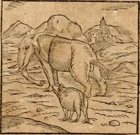 An illustration from Ioannis Pierii Valeriani Bellvnensis Hieroglyphica, sive, De sacris Ægyptiorvm aliarumq gentium literis commentariorum libri LVIII : cum duobus alijs ab eruditissimo viro annexis : accesserunt loco auctarij, Hieroglyphicorum collectanea, ex veteribus & recentioribus auctoribus descripta, & in sex libros digesta : Horapollinis item hieroglyphicorum libri duo, ex postrema Dauidis Hschelij correctione : prætereà eiusdem Pierij declamatiuncula pro barbis sacerdotum, & reliqua opuscula siue poemata omnia (1614)