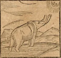 An illustration from Ioannis Pierii Valeriani Bellvnensis Hieroglyphica, sive, De sacris Ægyptiorvm aliarumq gentium literis commentariorum libri LVIII : cum duobus alijs ab eruditissimo viro annexis : accesserunt loco auctarij, Hieroglyphicorum collectanea, ex veteribus & recentioribus auctoribus descripta, & in sex libros digesta : Horapollinis item hieroglyphicorum libri duo, ex postrema Dauidis Hschelij correctione : prætereà eiusdem Pierij declamatiuncula pro barbis sacerdotum, & reliqua opuscula siue poemata omnia (1614)