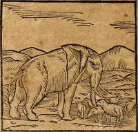 An illustration from Ioannis Pierii Valeriani Bellvnensis Hieroglyphica, sive, De sacris Ægyptiorvm aliarumq gentium literis commentariorum libri LVIII : cum duobus alijs ab eruditissimo viro annexis : accesserunt loco auctarij, Hieroglyphicorum collectanea, ex veteribus & recentioribus auctoribus descripta, & in sex libros digesta : Horapollinis item hieroglyphicorum libri duo, ex postrema Dauidis Hschelij correctione : prætereà eiusdem Pierij declamatiuncula pro barbis sacerdotum, & reliqua opuscula siue poemata omnia (1614)