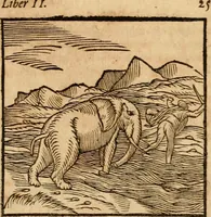 An illustration from Ioannis Pierii Valeriani Bellvnensis Hieroglyphica, sive, De sacris Ægyptiorvm aliarumq gentium literis commentariorum libri LVIII : cum duobus alijs ab eruditissimo viro annexis : accesserunt loco auctarij, Hieroglyphicorum collectanea, ex veteribus & recentioribus auctoribus descripta, & in sex libros digesta : Horapollinis item hieroglyphicorum libri duo, ex postrema Dauidis Hschelij correctione : prætereà eiusdem Pierij declamatiuncula pro barbis sacerdotum, & reliqua opuscula siue poemata omnia (1614)