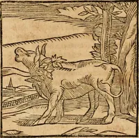 An illustration from Ioannis Pierii Valeriani Bellvnensis Hieroglyphica, sive, De sacris Ægyptiorvm aliarumq gentium literis commentariorum libri LVIII : cum duobus alijs ab eruditissimo viro annexis : accesserunt loco auctarij, Hieroglyphicorum collectanea, ex veteribus & recentioribus auctoribus descripta, & in sex libros digesta : Horapollinis item hieroglyphicorum libri duo, ex postrema Dauidis Hschelij correctione : prætereà eiusdem Pierij declamatiuncula pro barbis sacerdotum, & reliqua opuscula siue poemata omnia (1614)