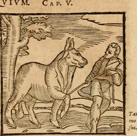 An illustration from Ioannis Pierii Valeriani Bellvnensis Hieroglyphica, sive, De sacris Ægyptiorvm aliarumq gentium literis commentariorum libri LVIII : cum duobus alijs ab eruditissimo viro annexis : accesserunt loco auctarij, Hieroglyphicorum collectanea, ex veteribus & recentioribus auctoribus descripta, & in sex libros digesta : Horapollinis item hieroglyphicorum libri duo, ex postrema Dauidis Hschelij correctione : prætereà eiusdem Pierij declamatiuncula pro barbis sacerdotum, & reliqua opuscula siue poemata omnia (1614)