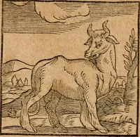 An illustration from Ioannis Pierii Valeriani Bellvnensis Hieroglyphica, sive, De sacris Ægyptiorvm aliarumq gentium literis commentariorum libri LVIII : cum duobus alijs ab eruditissimo viro annexis : accesserunt loco auctarij, Hieroglyphicorum collectanea, ex veteribus & recentioribus auctoribus descripta, & in sex libros digesta : Horapollinis item hieroglyphicorum libri duo, ex postrema Dauidis Hschelij correctione : prætereà eiusdem Pierij declamatiuncula pro barbis sacerdotum, & reliqua opuscula siue poemata omnia (1614)