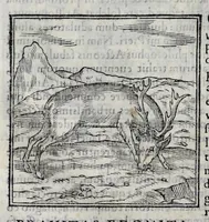 An illustration from Ioannis Pierii Valeriani Hieroglyphicorvm ex sacris Aegyptiorum literis libri octo (1556)