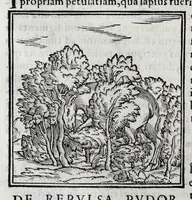 Picture 27 of 31 from Ioannis Pierii Valeriani Hieroglyphicorvm ex sacris Aegyptiorum literis libri octo (1556), leaf 110