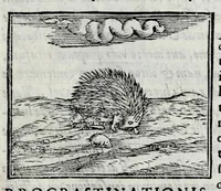 Picture 30 of 31 from Ioannis Pierii Valeriani Hieroglyphicorvm ex sacris Aegyptiorum literis libri octo (1556), leaf 127