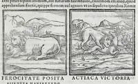 Picture 8 of 31 from Ioannis Pierii Valeriani Hieroglyphicorvm ex sacris Aegyptiorum literis libri octo (1556), leaf 27