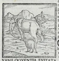 An illustration from Ioannis Pierii Valeriani Hieroglyphicorvm ex sacris Aegyptiorum literis libri octo (1556)