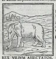 An illustration from Ioannis Pierii Valeriani Hieroglyphicorvm ex sacris Aegyptiorum literis libri octo (1556)
